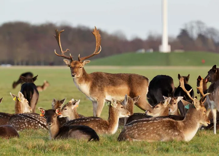 Appartamento Lovely With Wifi In Vibrant